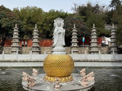 -泰山风景名胜区-普照寺