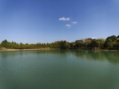 -南湖湿地公园