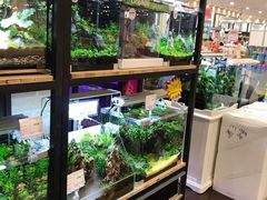 -佳世客(合肥路店)