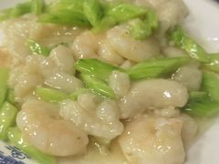 -大福都