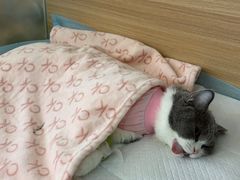 -达爱动物医院·犬猫分区·CT·复杂眼科(远洋山水分院)