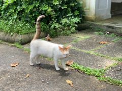 -麓湖高尔夫球俱乐部