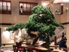 大堂-顺峰(农展馆店)