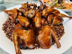 -朱记乳鸽王·非遗石岐乳鸽·全鸽宴(大兴旗舰店)