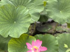 -承德避暑山庄景区