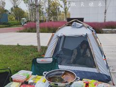 -西安浐灞国家湿地公园
