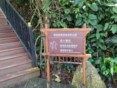 -西双版纳原始森林公园