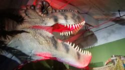 -恐龙探索乐园(磁器口店)