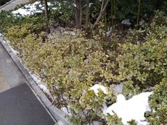 景点-楼观道温泉酒店