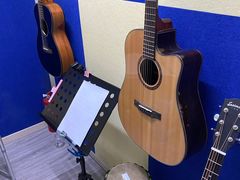 -大象音乐·吉他·架子鼓·声乐(双井店)