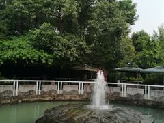 -成都市活水公园