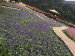 -广州市石门国家森林公园