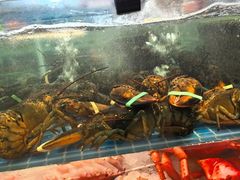 -大张烙馍村(泉山店)