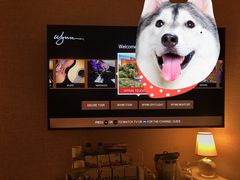 -拉斯维加斯永利酒店