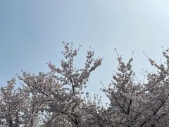 -龙美术馆(西岸馆)