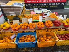 -西归浦每天偶来市场