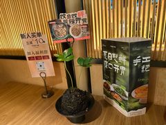-阿强家川菜·29年老字号(岗顶店)