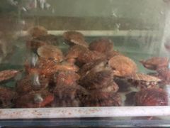 -兆辉木炭海鲜烧烤·海鲜小炒