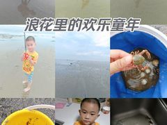 -南汇嘴观海公园