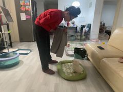 -多乐狗狗宠物训练工作室