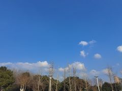 -金银湖国家城市湿地公园