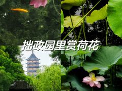 -拙政园