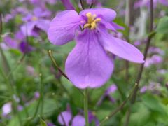 -白塘生态植物园