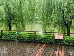 -沐仙湖湿地公园