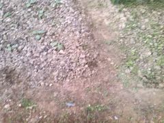 android_upload_pic-广西壮族自治区药用植物园