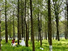 -西溪国家湿地公园