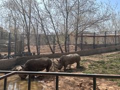 -大连森林动物园