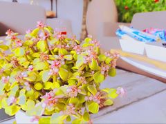 -宫七SPA·高端Massage(浦东大道店)