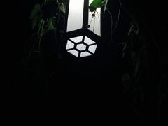 -秋香鱼馆(世凹桃园店)