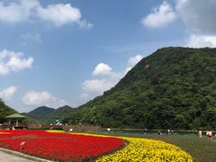 -广州市石门国家森林公园