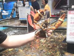 -皇庭广场(福华三路店)