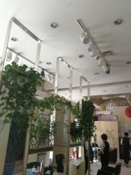 -卡尔诗·科技美肤连锁