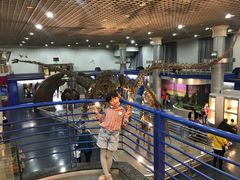 -国家自然博物馆