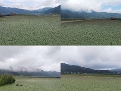 -腾冲北海湿地