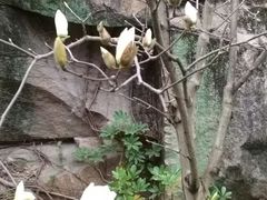 -乌山风景区