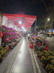-宝生月子中心(民治店)