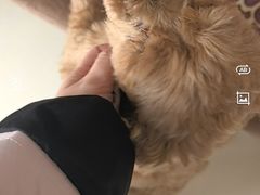 -巧手推拿中心(盲人推拿)