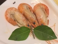 -黑松白鹿(金融街店)