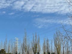 -永定河休闲森林公园