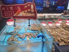 -连鹭海鲜·海肠捞饭·海胆饭(星海店)