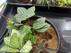 -美罗百货(观前店)