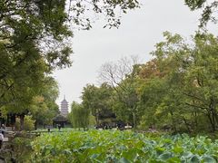 -拙政园