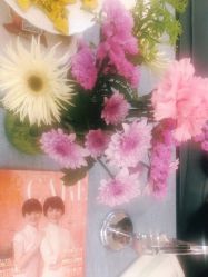 -静博士·养生养颜