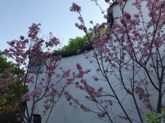 -乌山风景区