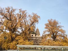 -北京石刻艺术博物馆(五塔寺)
