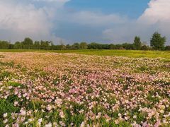 -汉长安城未央宫国家考古遗址公园